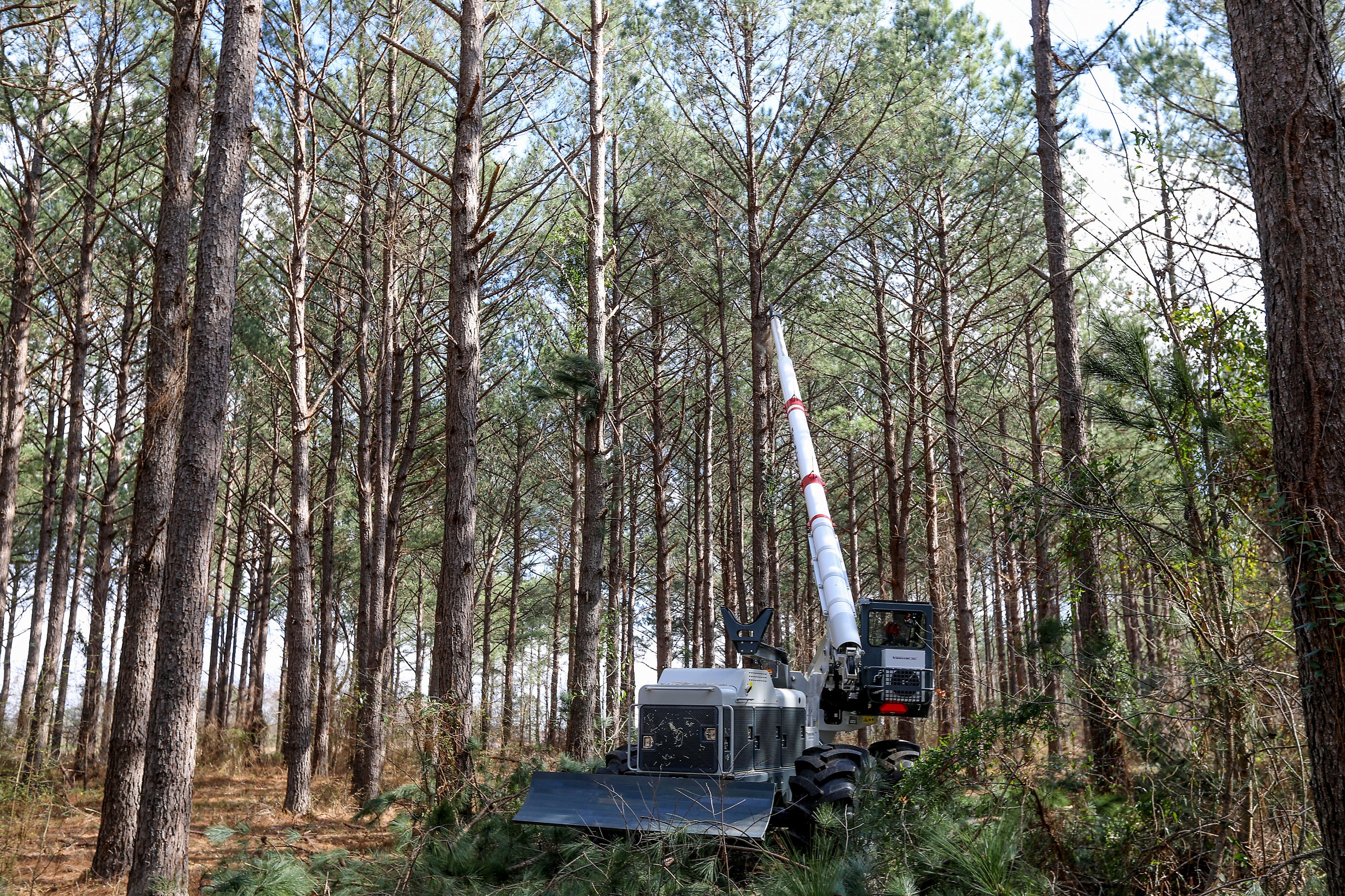 Vegetation Equipment